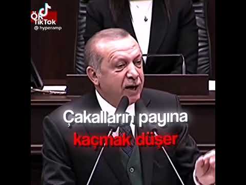 Erdogan : \