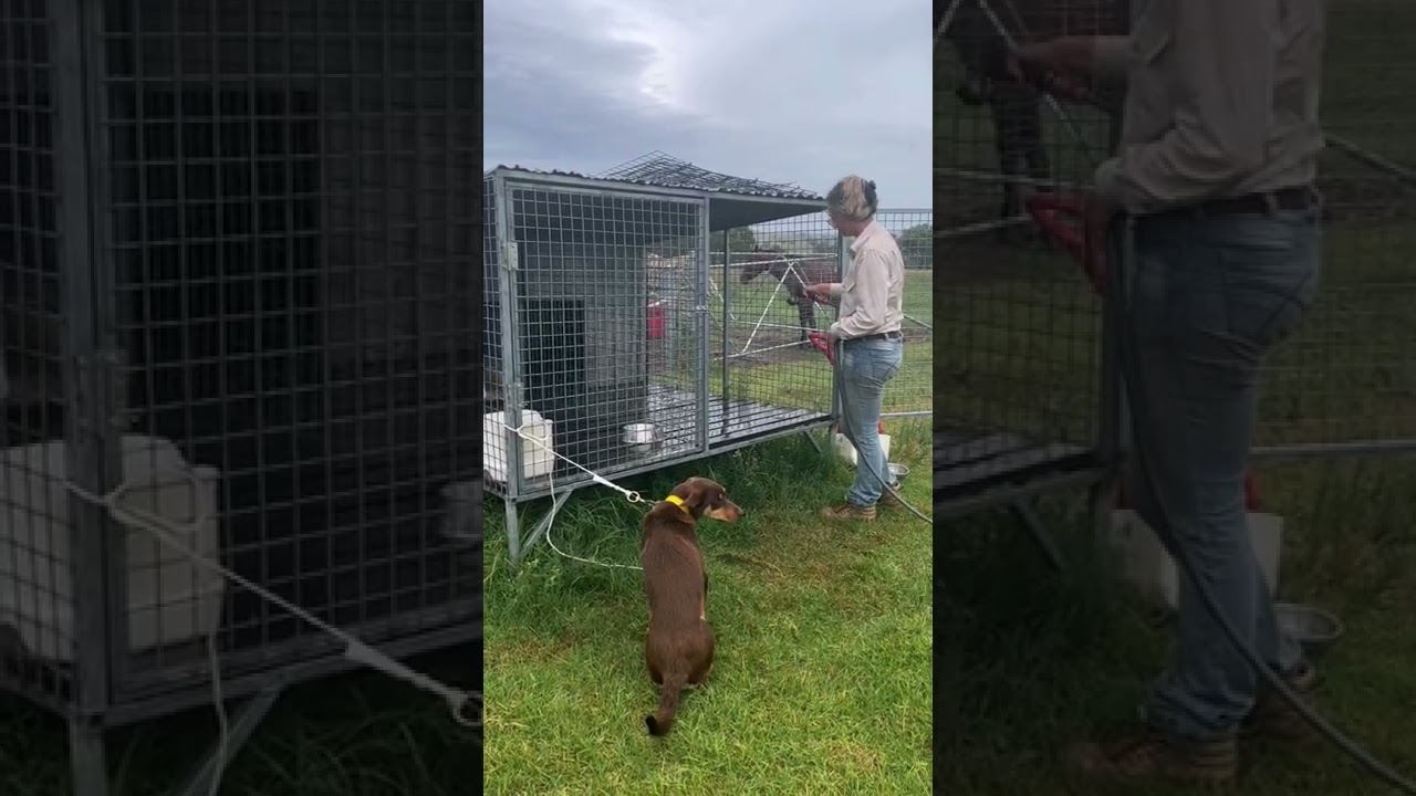 Abby Stevenson TAFE assessment 203 - 18 January 2022