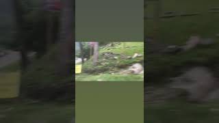 As Long As It Matters