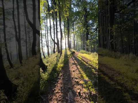 Magiczne ścieżki Beskidu Sądeckiego #gsb #beskidsądecki #trail #grań #cragger