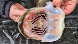 How To Unhook A Pike | Get Fishing TV