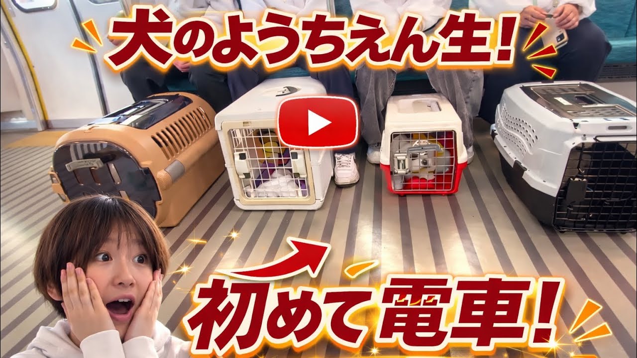 【感動】初めての電車移動！犬のようちえん生たちがTX（つくばエクスプレス）に挑戦してみた結果・・・