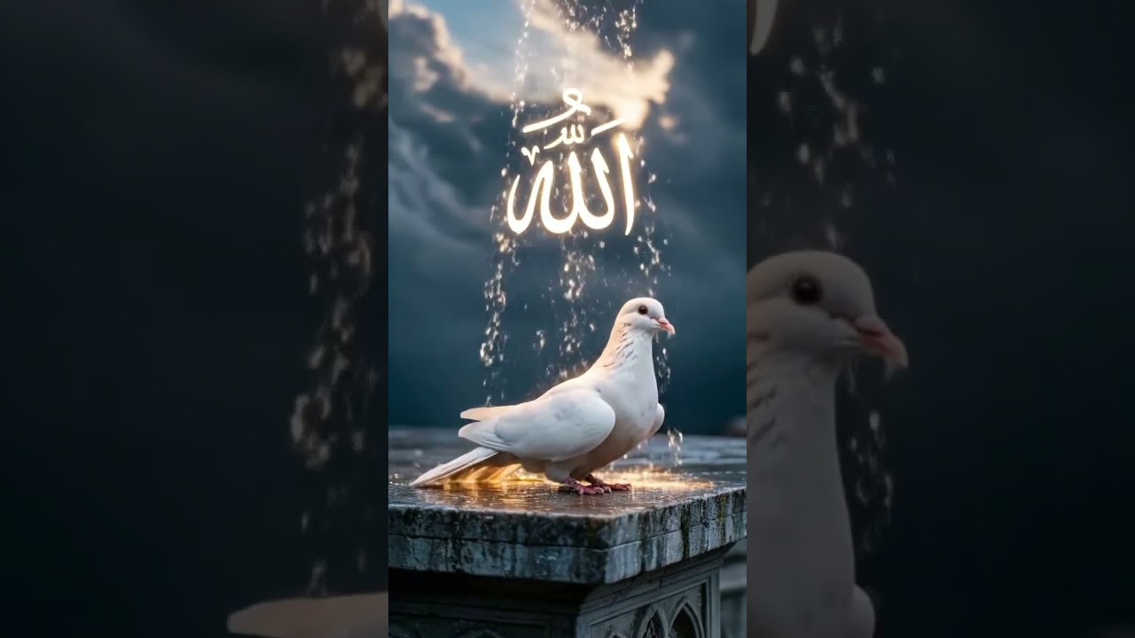 Allah is the best form and your love you all so much more than one of my life is👍💯