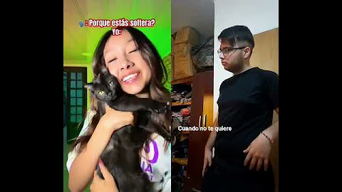 Video 10914341: cat funny gatos