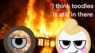 Normal Dandys World Video