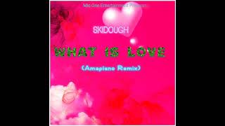 Download Lagu SkiDough_ What Is Love( Amapiano Remix) Ft. Hedda way MP3