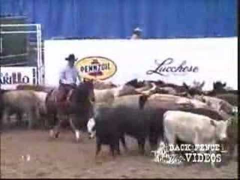 2005 NCHA World Champion Open