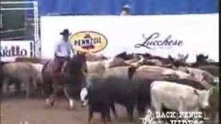 2005 NCHA World Champion Open