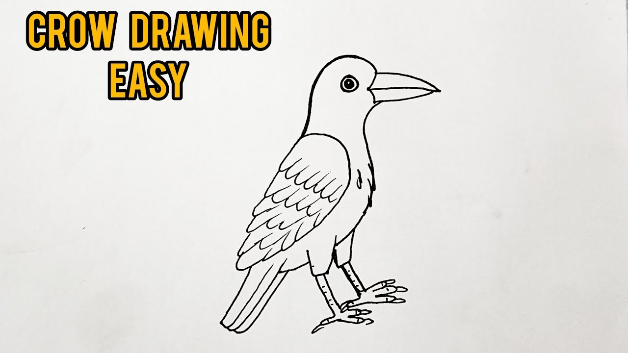 Crow Drawing Easy Step by Step | Bird Drawing for Beginners।How to draw a 🐦🎨✍️