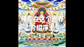 201908 佛陀在这个世界介绍净土51319