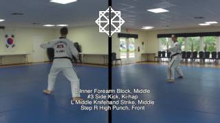 Ata Songahm Taekwondo - White Belt And One Steps