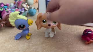 #LPS crazy daycare