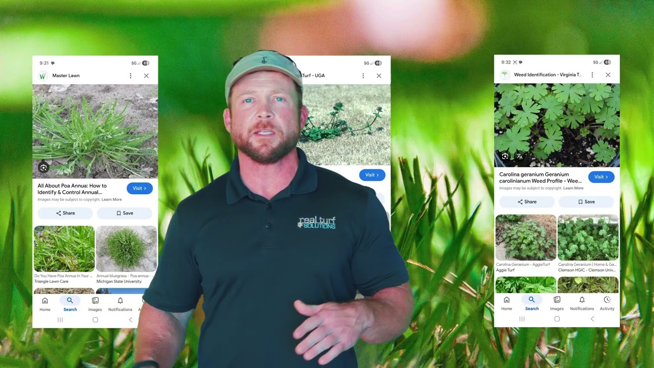 Советы по уходу за газоном в зимнее время