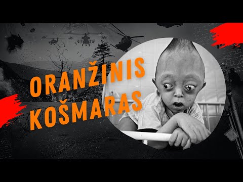 Video: Meksikos ir Amerikos karo metu JAV kariškiai?