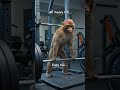 Gym VS Food Bandar Ep:-11 #ai #monkey #ep11