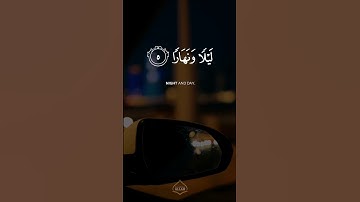 Surah Nuh | سورة نوح | Samir Ezzat | سمير عزت