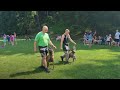 Dog show for kids demo training pitbull amstaff malinois working  k9 obedience
