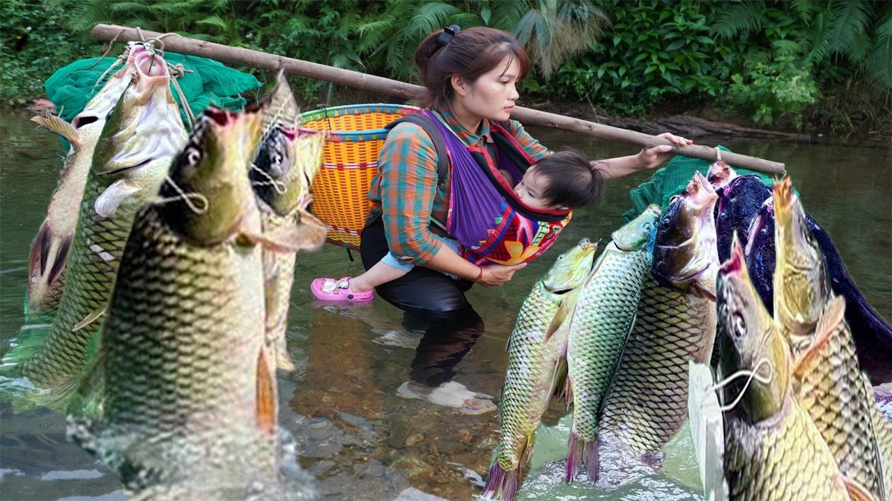 Traditional fishing skills - A single mother catches a giant fish with ...