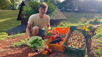 Life in the Countryside – 20 Peaceful Days of Farming