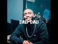 Daliwonga x Mellow & Sleazy Type Beat "Dali Dali" 2023 (Prod By Puppy Beats)