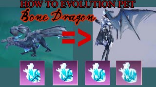 Bone Dragon Pet Evolution Utopia Origin New Update