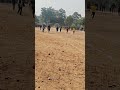 Inter house sports meet 2025-26 100 m jr Race | EMRS TANSAR#emrs#race#sports#tribal#school#viral