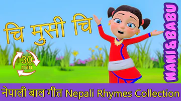 Chi Musi Chi - चि मुसी चि | (Extended Mix - 30 Mins!) | Nepali Rhymes | बाल गीत