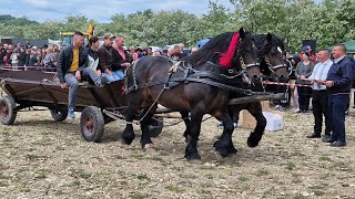 Târgul de cai de la Marginea cel mai mare târg din Bucovina /NOU!!!