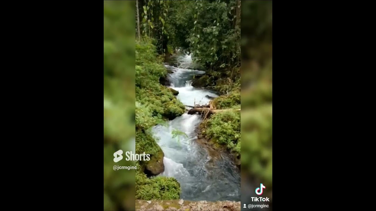 Choose JCRMG INC Real Estate Mortgage Broker for Professional Guidance in Real Estate