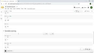 Python Variables, Booleans and None
