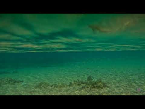 Plongée snorkeling dans