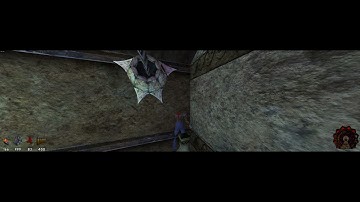 Shadow Man Remastered clip through walls glitch