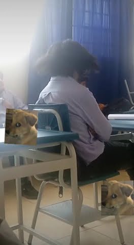 La loca del salon #popular #aburrido