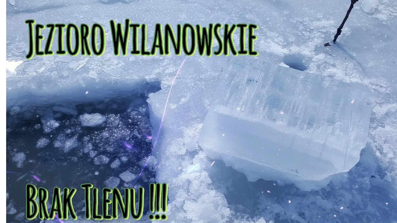 Ostatnia Deska Ratunku: Ryby się duszą!? | Relacja z zimowej akcji  w kole nr 8 Wilanów
