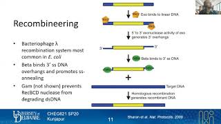 34 Recombineering | Genome Engineering Tools | Lecture 16 | Metabolic Engineering | SP20