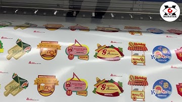 Epson S Series Printer With Graphtec