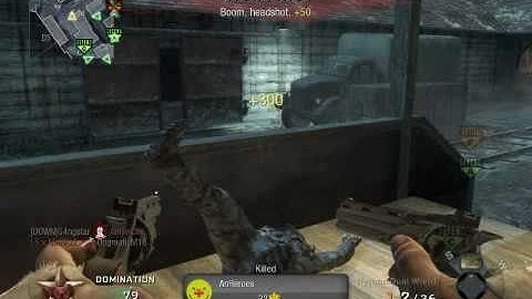 Black Ops - Dual Wield Python