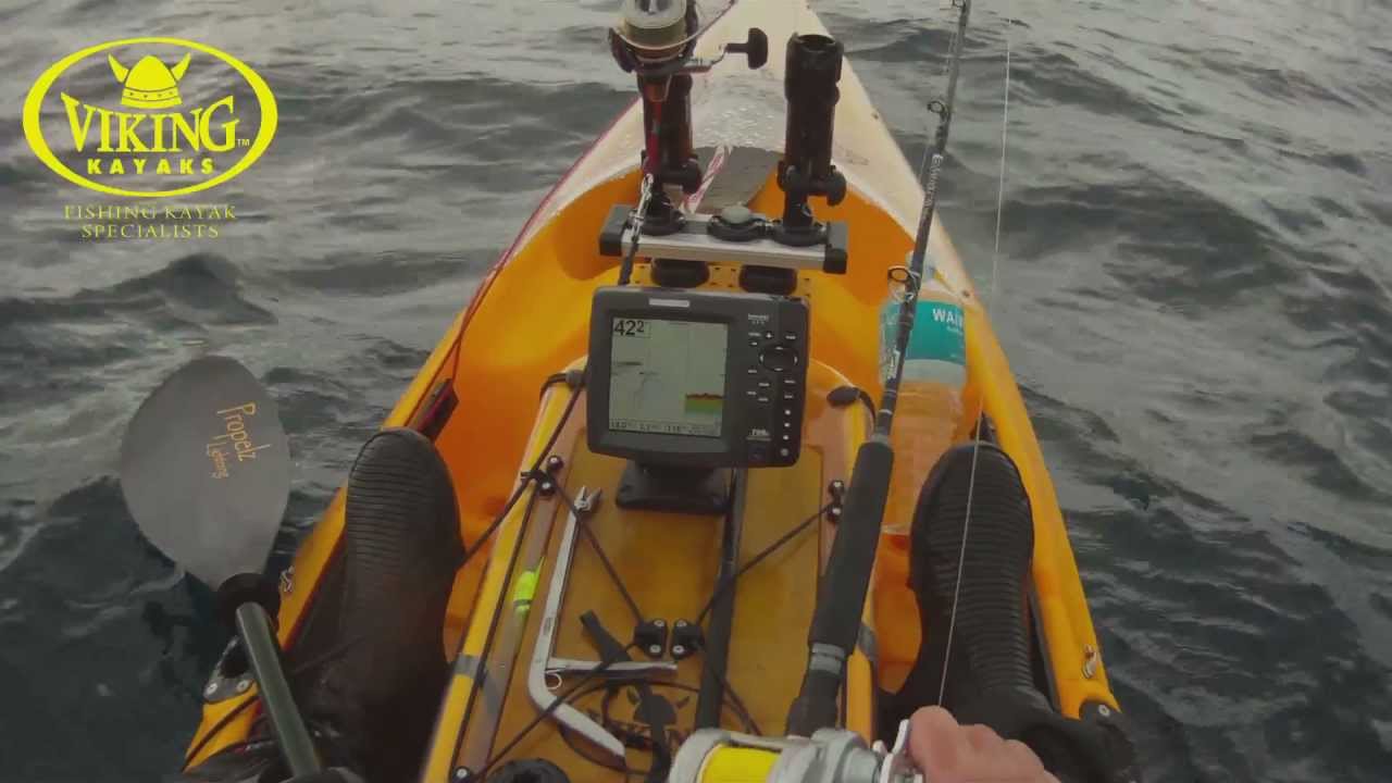 Kayak Fishing Big Snapper Whangarei NZ with Viking Kayaks YouTube