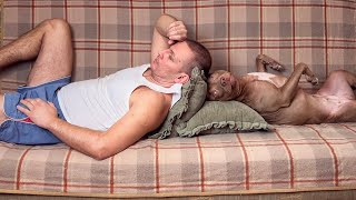 You should sleep with your wife, not with a dog!