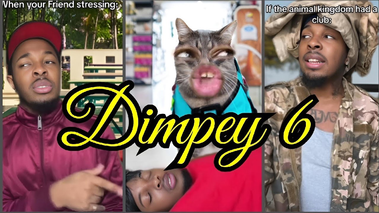 Dimpey6 TikToks Compilation Funny Shorts  Dimpey 6 TikTok Funny Shorts Videos