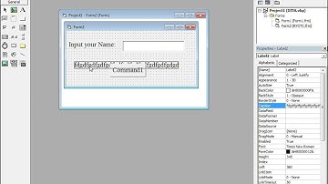 VB6 Message Box Tutorial | Click Event Explained with Real Example