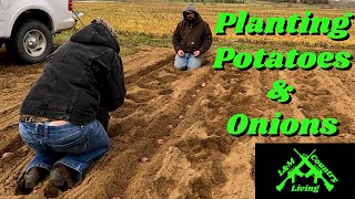 Planting taters and onions