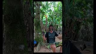 #highlightseveryonefollowers2025 #funny #comedy#trending