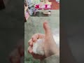 kok bisa sih