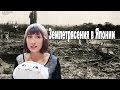 Жизнь в Японии: Землетрясения каждый день?