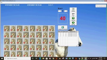 Video Knight Tour 2021