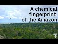 Monitoring the Amazon’s Health with Drones #drone #droneday