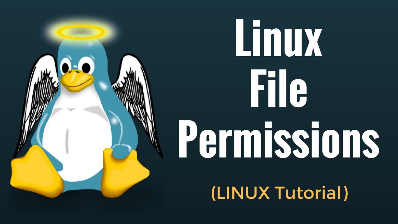 Linux Permissions Chart
