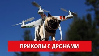 Дроны и Квадрокоптеры - Лучшие Приколы, Падения и Фейлы