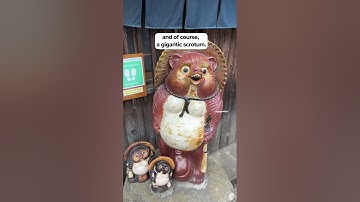 Japanese Tanuki! 🐻🍶 #shorts